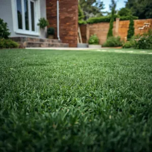 Verification and readiness of outdoor perimeter and garden